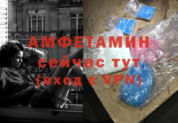 ПСИЛОЦИБИНОВЫЕ ГРИБЫ Гусь-Хрустальный