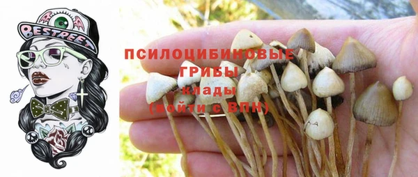jwh Аркадак