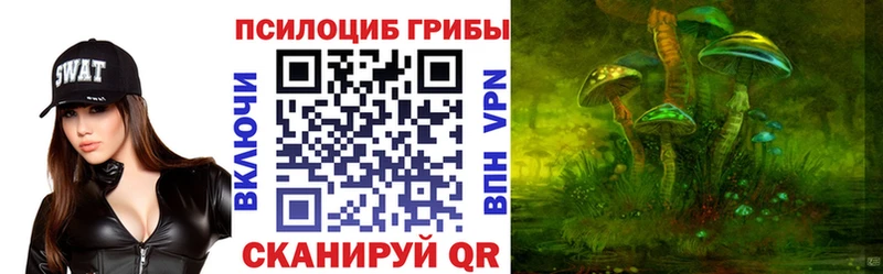 Псилоцибиновые грибы Magic Shrooms  Кировск 